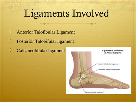 Sprained Ankle Grade II | PPT | Free Download