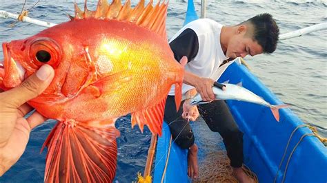 Maaga Ang Kain Ng Isda Ngayon Dami Naming Huli Master Lei YouTube