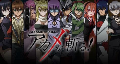 Akame Ga Kill Season 2 Whats In Store For Anime Fans