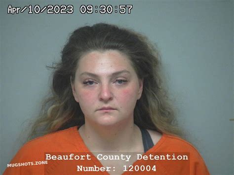 Ashley Wallace Shiansky 04 10 2023 Beaufort County Mugshots Zone