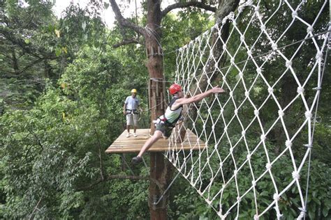 Zip Line Canopy Tour | Red Frog Bungalows