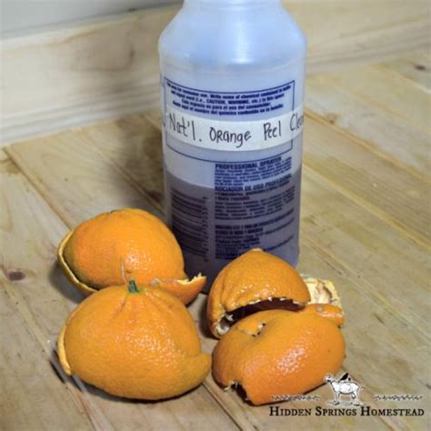 How To Make Homemade Citrus Cleaner · Hidden Springs Homestead