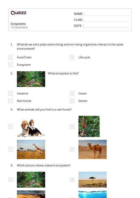 Ecosystems Worksheets For Rd Year On Quizizz Free Printable