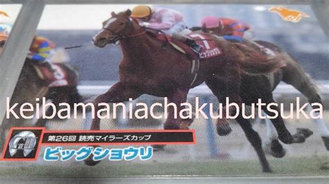 サラブレッドカード95 023 第26回読売マイラーズカップ ビッグショウリ 競馬マニアック博物館