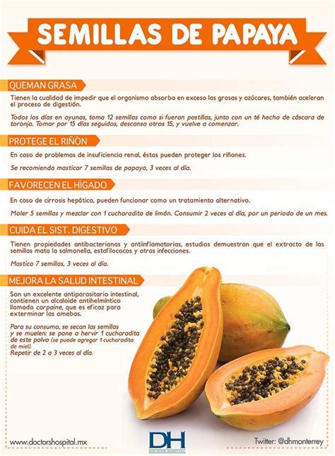 Beneficios De La Semilla De Papaya Infograf A Tomada De Dh M S