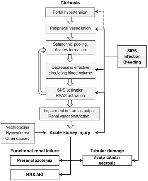 Acute Kidney Injury Acute Renal Failure Nursing Nclex Review Management