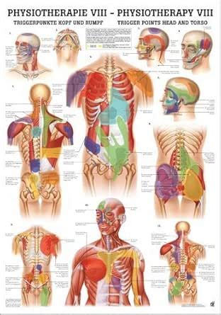 ruediger Anatomie mipophysviii points de déclenchement Tête et corps