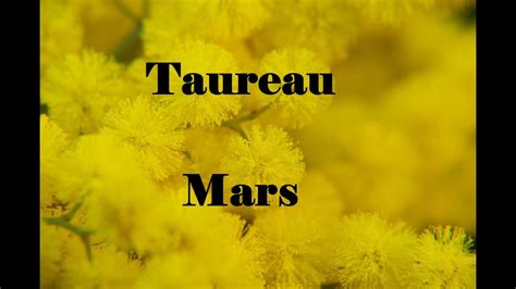 ♉️guidance Mensuelle Taureau Et Ascendant🌿vous Prenez La Voie De La