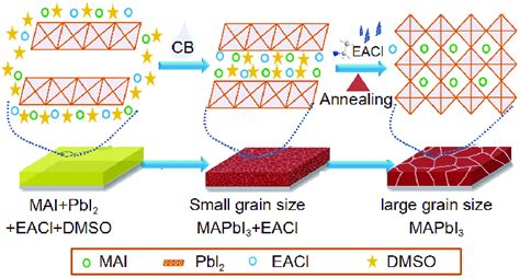 Schematic Illustration Of The Mai Pbi 2 Eacl Precursor For The