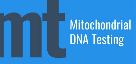 Mitochondrial DNA Testing: What is mtDNA & Which Test is Best?