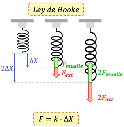 Ley de Hooke qué es fórmula ejercicios resueltos