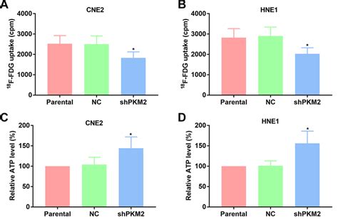 Inhibition Of Pkm Suppresses Glucose Uptake While Increases Atp