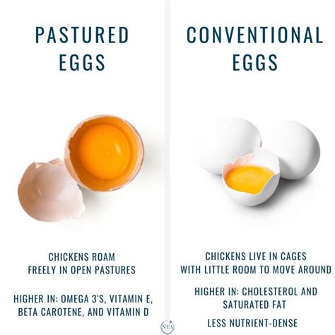 Pastured Eggs Vs Conventional Eggs Nutritional Therapy Nutritional