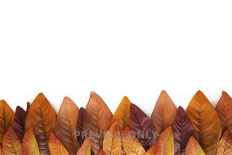 Orange Fall Leaves Border - Stock Photos | Prixel Creative