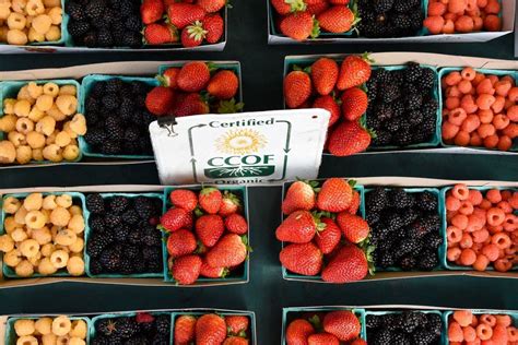 20 Beautiful Farmers Market Display Ideas for Every Budget