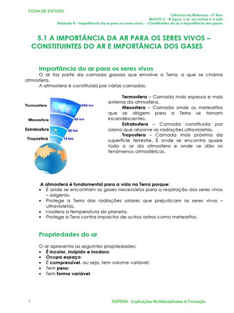 A Importância Do Ar Para Os Seres Vivos - Importância do Ar para os Seres Vivos | PDF | Combustão | Atmosfera