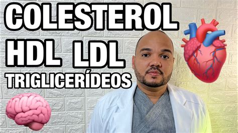 GORDURA NO SANGUE LDL HDL E TRIGLICERÍDEOS O que é Colesterol total