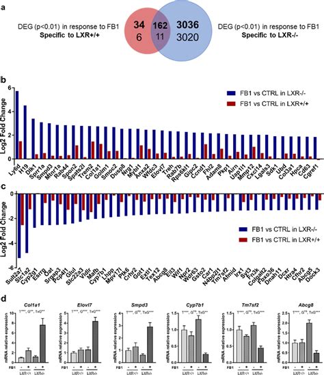 Lxr Deficiency Influences The Hepatic Gene Expression Profile In