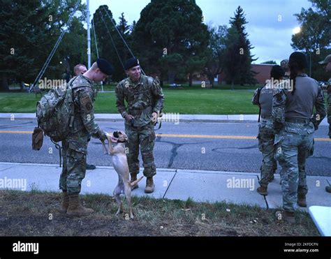 Los Miembros Del Grupo De Las Fuerzas De Seguridad Del 90th Se Preparan Para Hacer Una Carrera