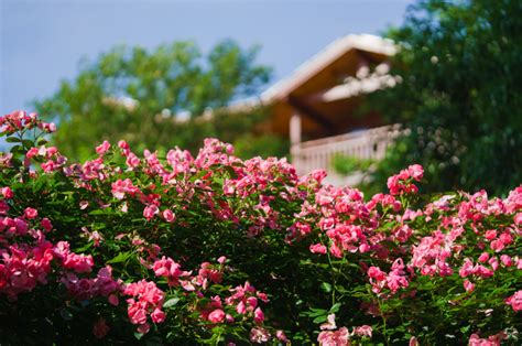 祝贺！全市唯一！云和县赤石村拟入选第三批全国乡村旅游重点村！ 云和 丽水在线 丽水本地视频新闻综合门户网站