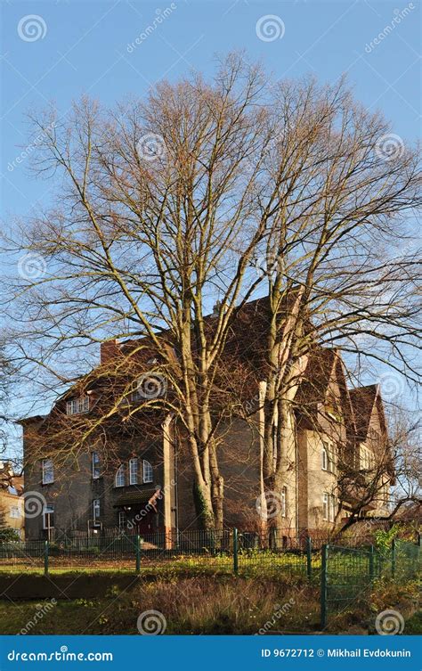 Arbre Devant La Vieille Maison Photo Stock Image Du Herbe Maison