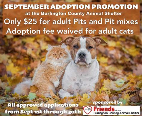 Special Adoption Prices Through Sept 30 Friends Of The Burlington