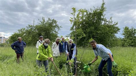 Gr Ne Bund Naturschutz Und Lbv Pflanzten Obstb Ume In Gauting