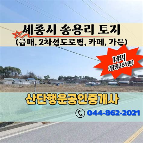 급매 세종시 연동면 송용리 2차선도로변 가든 카페용으로 아주 좋은 땅 매매