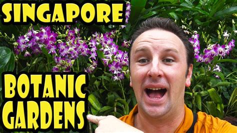 Singapore Botanic Gardens Travel Guide Youtube