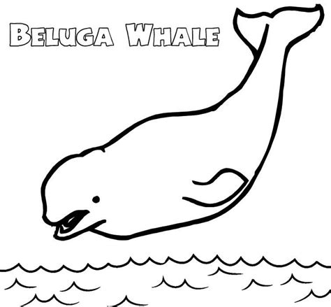 Five Epic Beluga Whale Coloring Pages for Kids | Beluga whale, Whale ...