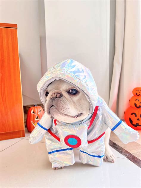 dog halloween costume astronaut – Frenchiely