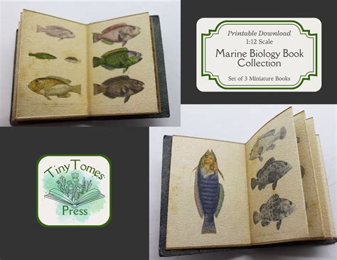 Miniature Marine Biology Book Collection Digital Download Set of 3 1:12
