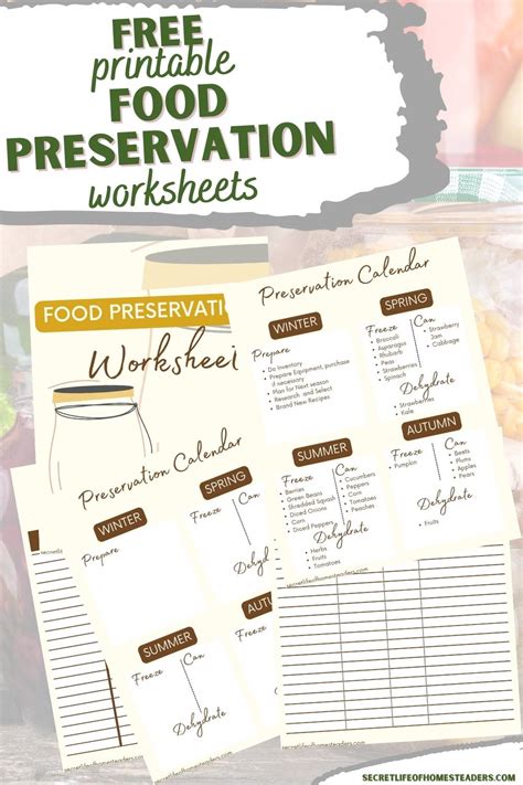 Food Preservation Activity Sheets