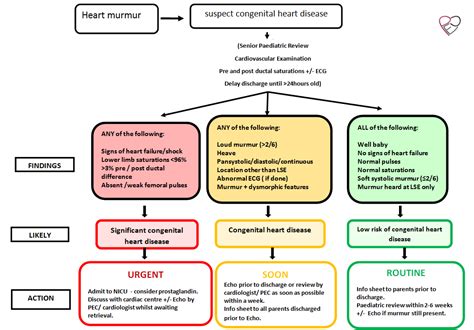 Heart murmurs in the neonate: an approach to the neonate with a heart ...