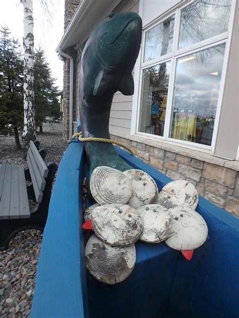 Pussy Willows Skunk Tails Bluebellmountainblog