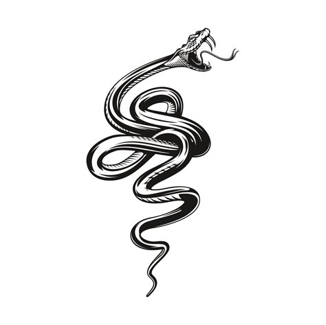 Snake Tattoo Angry Black Viper Vector Art At Vecteezy