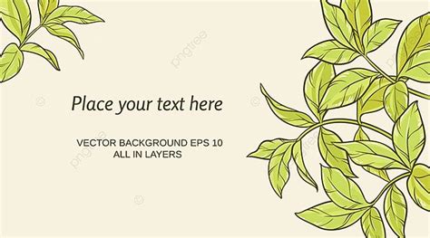 Green Tea Leaves On Color Background Template Download on Pngtree