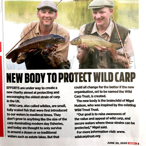 Wild Carp Trust Featured In Angling Times Wild Carp Trust Wild Carp Trust