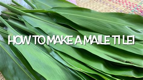 How To Make A Maile Ti Leaf Lei Youtube