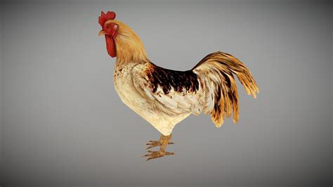 ROOSTER ANIMATED Buy Royalty Free 3D Model By Bilal Creation