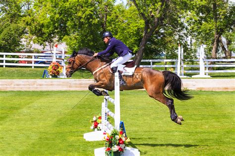 Spruce Meadows