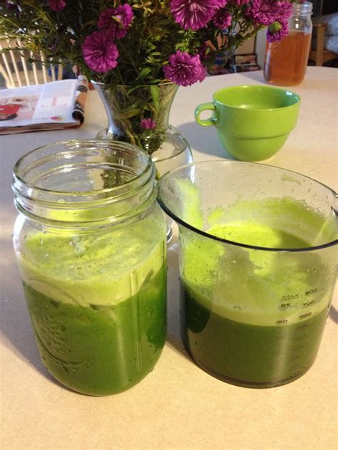 Green Juice Recipe Kale Romaine Lettuce Lime Green Apples Celery Juicers