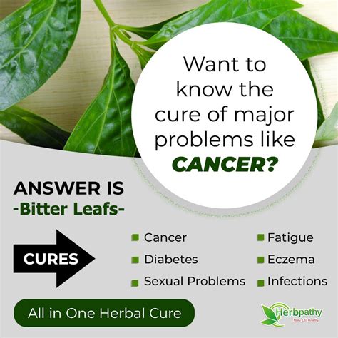 What Is The Health Benefits Of Bitter Leaf