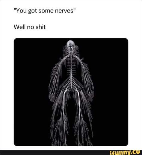 Nerves Memes Best Collection Of Funny Nerves Pictures On Ifunny