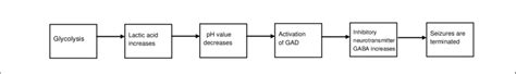 The Metabolite Lactic Acid Terminates Seizures By Strengthening Download Scientific Diagram