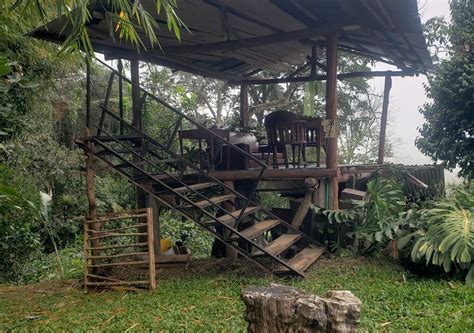 Proyectos Ecol Gicos Colombia Ay Danos Con Nuestro Eco Hostel En