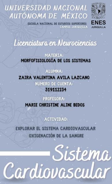 Explorar El Sistema Cardiovascular Valentina Lazcano Udocz