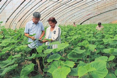 助力鄉村振興 帶動農民持續增收 新浪香港