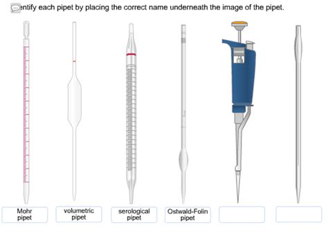 mohr pipette function