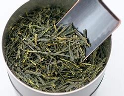 Sencha Green Tea - Health Benefits & Side Effects